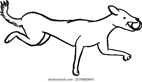 
Dog catch tennis ball playing. Domestic animal. Hand drawn vector isolated illustration doodle. 