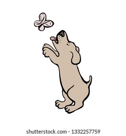 Dog catching butterfly isolated on white background.