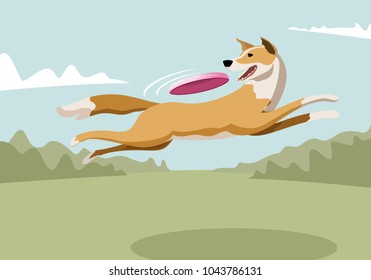 Dog catching flying disc while jumping