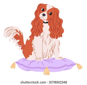 Dog Cavalier King Charles Spaniel sits on pillow