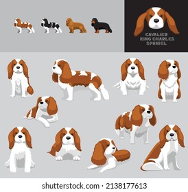 Cavalier de perro Rey Charles Spaniel Vector de dibujos animados Ilustración Variación de color Set