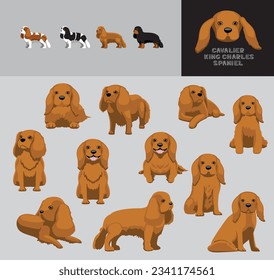 Dog Cavalier King Charles Spaniel Blonde Coat Cartoon Vector Illustration Color Variation Set