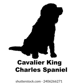 Dog Cavalier King Charles Spaniel silhouette Breeds Bundle Dogs on the move. Dogs in different poses.
The dog jumps, the dog runs. The dog is sitting lying down playing
