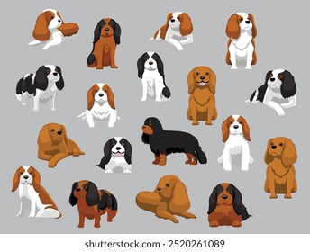 Dog Cavalier King Charles Spaniel Various Colors Poses Cartoon Vector Character