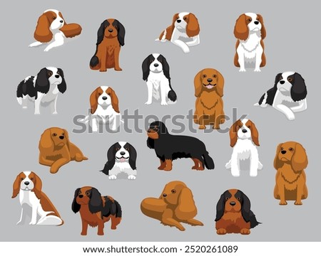 Dog Cavalier King Charles Spaniel Various Colors Poses Cartoon Vector Character