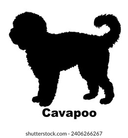 Dog Cavapoo silhouette Breeds Bundle Dogs on the move. Dogs in different poses.
The dog jumps, the dog runs. The dog is sitting lying down playing
