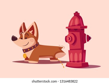 why do dogs like to pee on fire hydrants