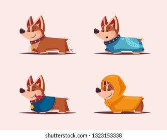 Dog character. Best friend. Cartoon vector illustration. Cute puppy. Funny corgi