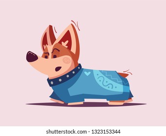 Dog character. Best friend. Cartoon vector illustration. Cute puppy. Funny corgi