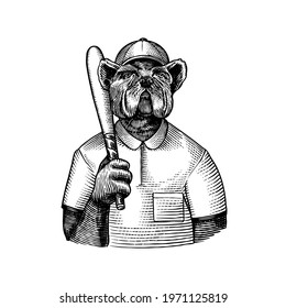 Dog character. Bulldog baseball player with a bat. Fashionable animal, vitorian gentleman in a jacket. Hand drawn Engraved old monochrome sketch. Vector illustration for t-shirt, tattoo or badge