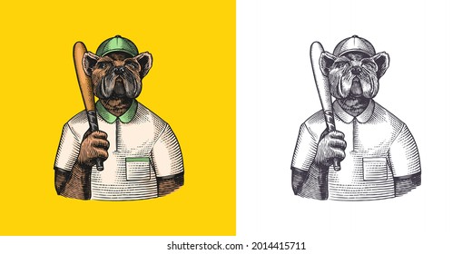 Dog character. Bulldog baseball player with a bat. Fashionable animal, vitorian gentleman in a jacket. Hand drawn Engraved old monochrome sketch. Vector illustration for t-shirt, tattoo or badge