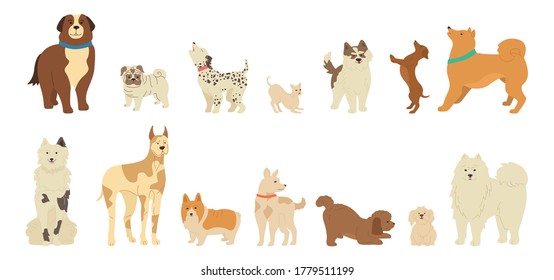 Dog character cartoon collection. Funny different breeds dogs flat style. Hand drawn friendly animals husky, corgi, pug and dachshund. Cute loyal muzzle. Isolated vector illustration