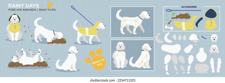 Dog character ready to rig for animation. Vector assets. white labradoodle dog playing with accessories and additional poses. Collection, set.