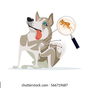 Dog character scratches fleas off. Vector flat cartoon illustration