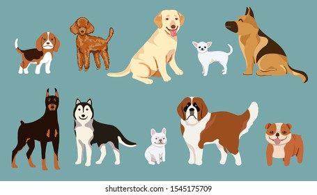 Dog character set vector, Beagle, Poodle, German Shepherd, Labrador, Chihuahua, Doberman, Husky, French Bulldog, Saint Bernard 