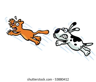 Dog chasing cat