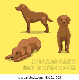 Dog Chesapeake Bay Retriever Cartoon Vector Illustration