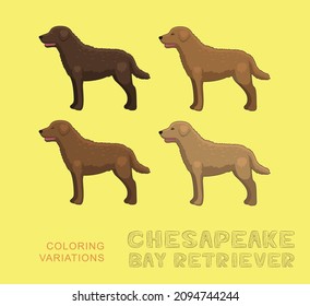 Dog Chesapeake Bay Retriever Coloring Variations Cartoon Vector Illustration