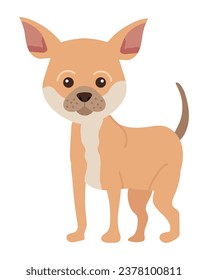 dog chihuahua illustration vector isolated