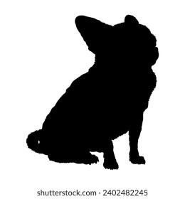 Dog Chihuahua sitting silhouette High quality  Breeds Bundle Dogs on the move. Dogs in different poses.
 jumps,  runs. dog is sitting. The dog is lying down. The dog is playing