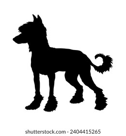 Dog Chinese Crested silhouette Breeds Bundle Dogs on the move. Dogs in different poses.
The dog jumps, the dog runs. The dog is sitting lying down is playing

