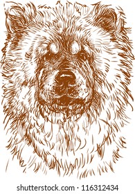 dog chow chow