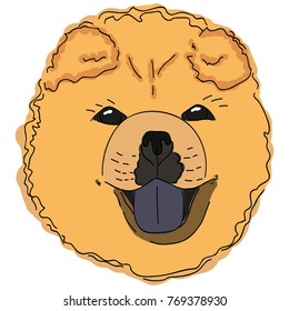 Dog chow chow head vector illustration. 2018 symbol