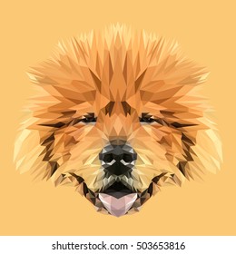 Dog Chow Chow low poly design. Triangle vector illustration.