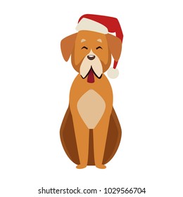 Dog with christmas hat