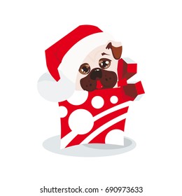 Dog in Christmas hat. Puppy in gift box. Vector illustration.