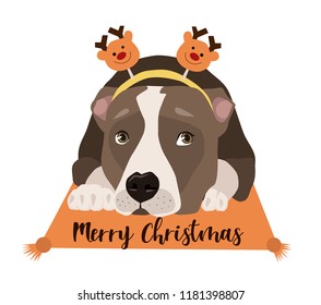 A dog with christmas headband, lies on rug  which writes Merry Christmas.