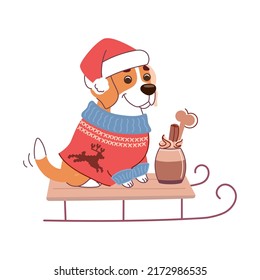 A dog in a Christmas sweater and a santa hat sits on a sleigh. Funny vector illustration of beagle with winter dog drink. Art in a flat style on a white background. Cute winter print for puppy lovers