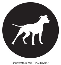 Dog in Circle Vector Illustration