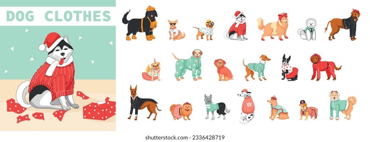 Dog clothes flat composition with set of different breed dogs in winter overalls sweaters insulated harnesses vector illustration