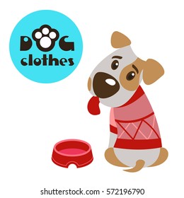 Dog in clothes. The Jack Russell Terrier. Clothing for dogs. Vector illustration. Isolated on a white background.