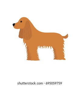 Dog Cocker Spaniel
