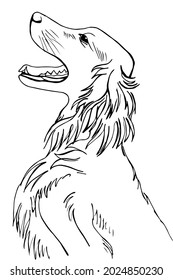 Dog Cocker Spaniel. Dog Breed. Dog Side View. Dog Looking Up. Vector Illustration For Web Design, Websites, Backgrounds And Print.