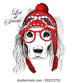 Dog Cocker Spaniel in a red winter long knit hat and glasses. Vector illustration.