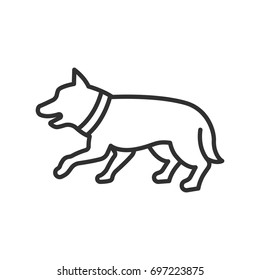 The dog in the collar