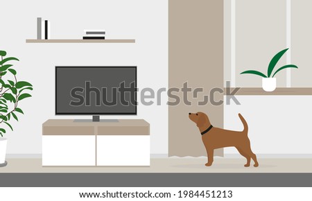 Dog with a collar alone in the room