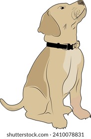 Dog in a collar on a white background. Pet. Design of greeting cards, posters, patches, prints on clothes, emblems. Puppy.