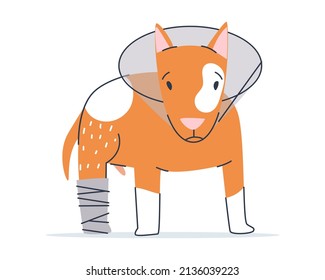Dog in a collar and plaster on the hind leg. Care and rehabilitation of pets after injury or surgery. Flat vector illustration. Eps10