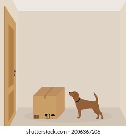 Dog with collar sniffs a cardboard box in a room with a closed door