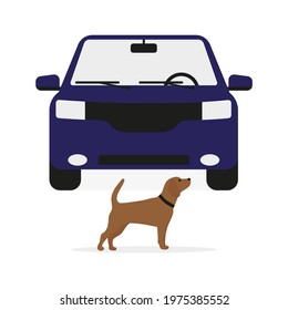 A Dog With A Collar Stands In Front Of A Car On A White Background