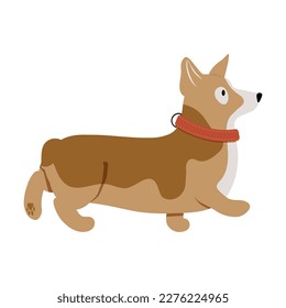 The dog in the collar walks. Vector illustration.