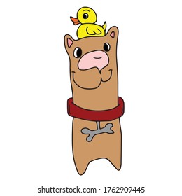 A dog with a collar and a yellow duck on its head. Vector design, illustration on a white isolated background, sticker.Holiday