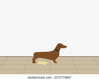 Perro en un collar y un charco amarillo en el suelo