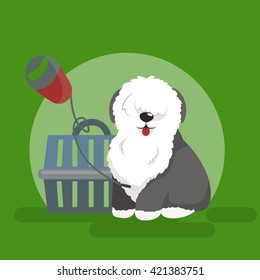 Dog collars and lead for walking, transporting pets