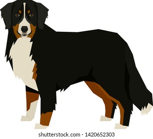 Dog collection Bernese Mountain Dog Geometric style Isolated object set