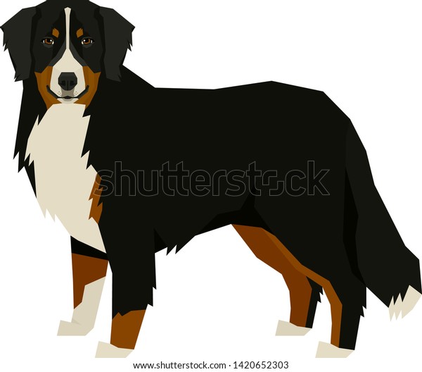 Dog Collection Bernese Mountain Dog Geometric Stock Vector (Royalty ...